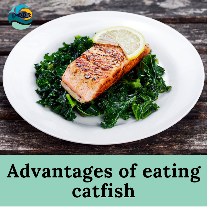 Advantages of eating catfish 