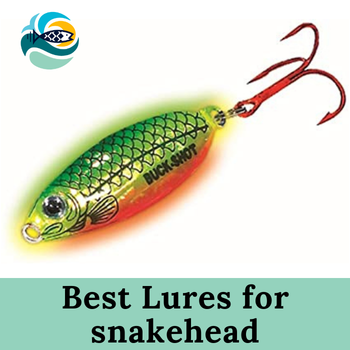 Best Lures for snakehead 