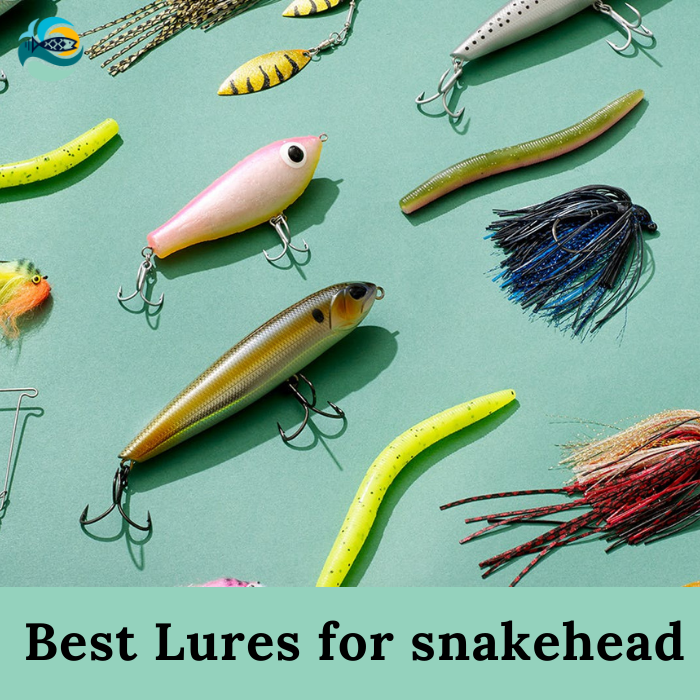 Best Lures for snakehead.