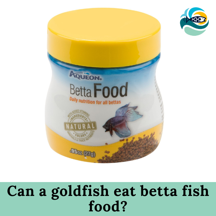 Can a goldfish eat betta fish food?