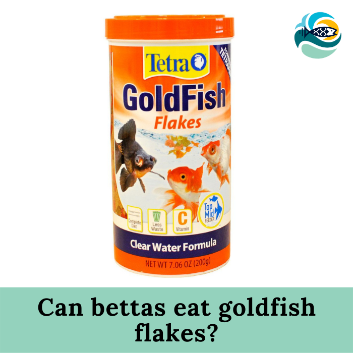 Can bettas eat goldfish flakes?