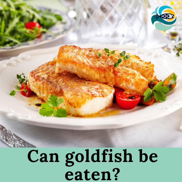 Can goldfish be eaten