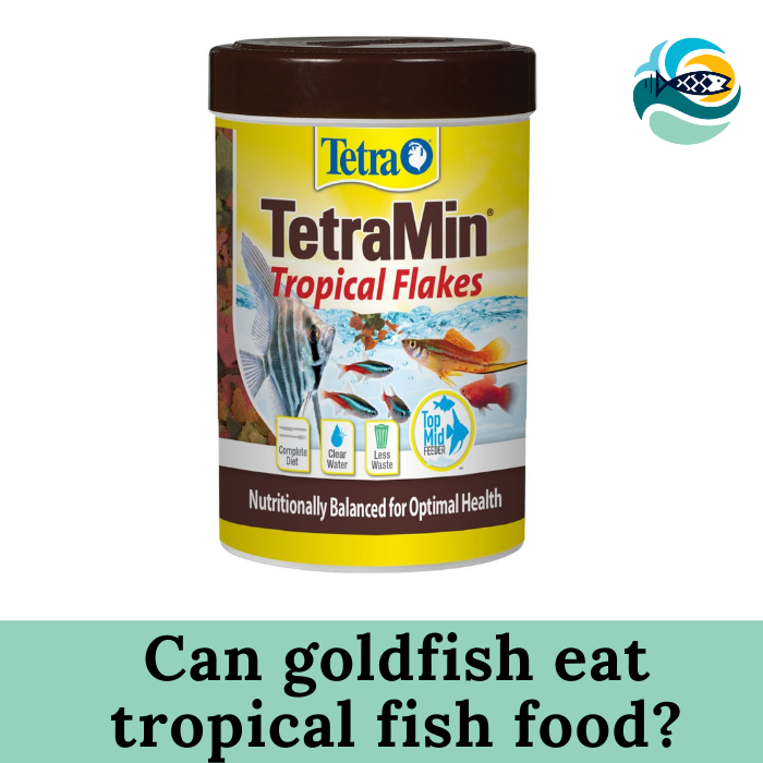 Can goldfish eat tropical fish food?