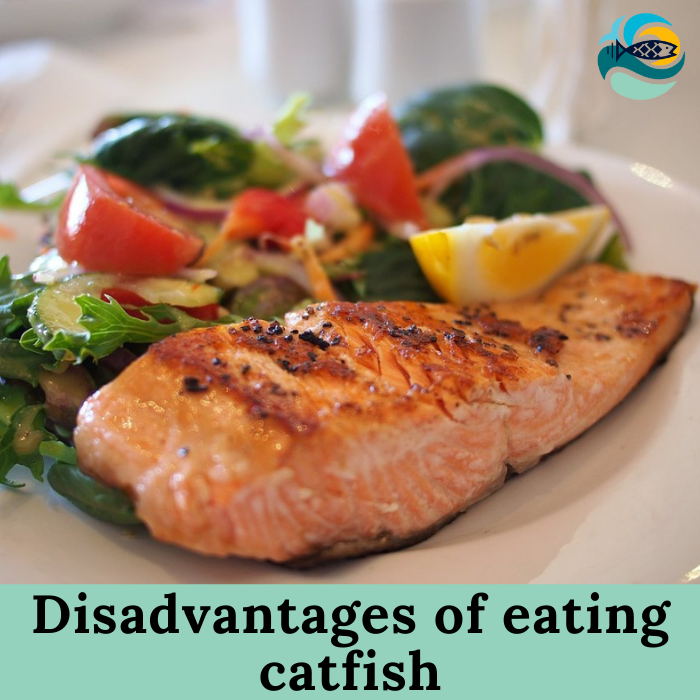 Disadvantages of eating catfish 