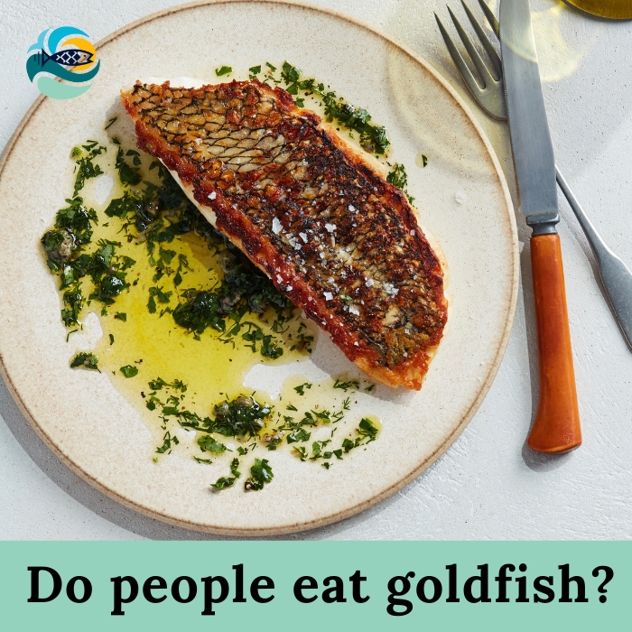 Do people eat goldfish