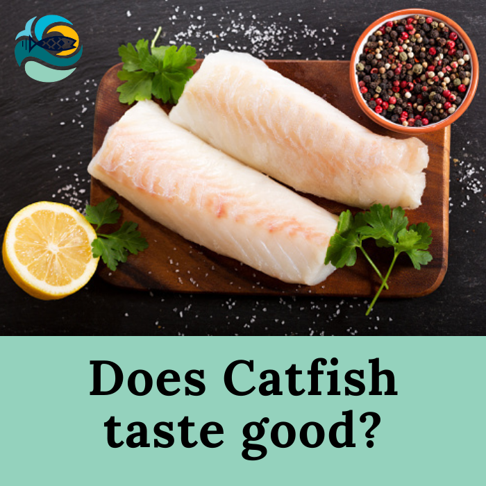 Does Catfish taste good?