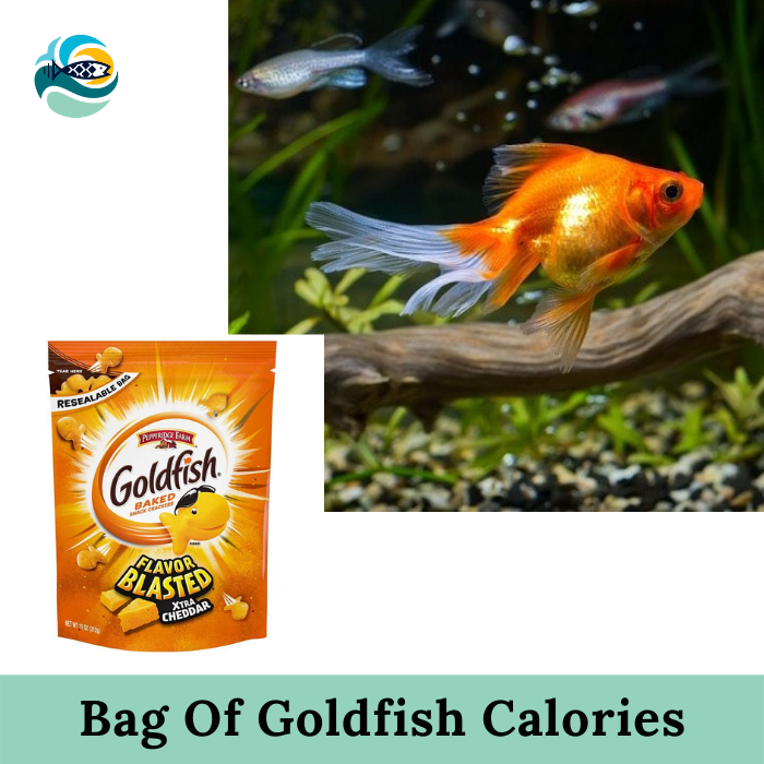 Bag of Goldfish Calories