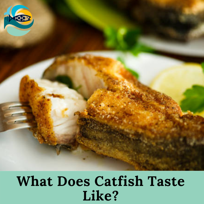 What Does Catfish Taste Like?