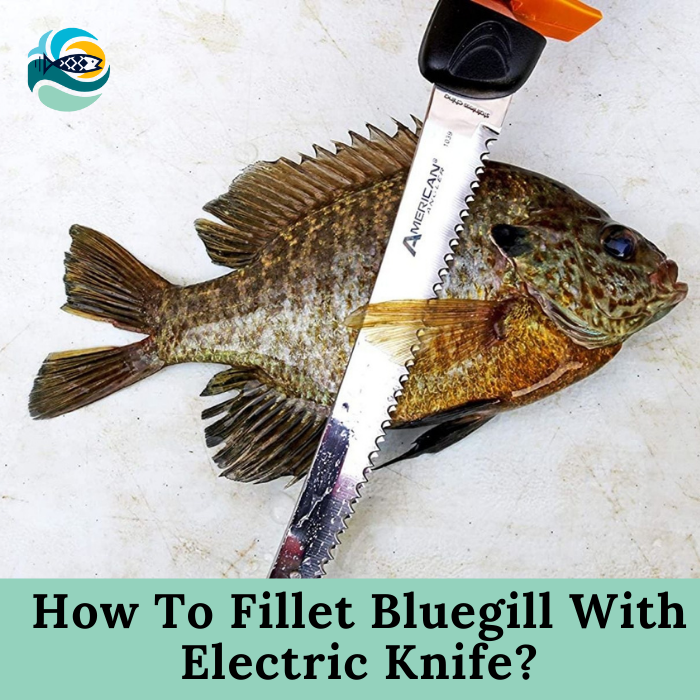 How To Fillet Bluegill With Electric Knife
