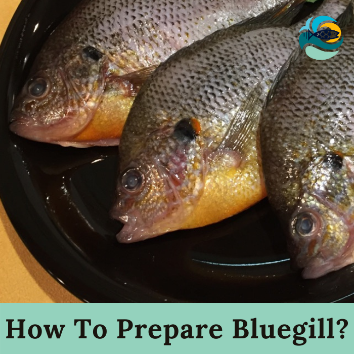 How To Prepare Bluegill