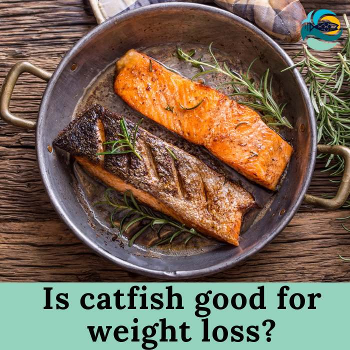 Is catfish good for weight loss 