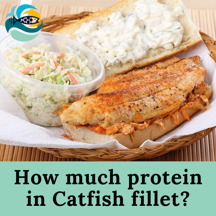 How much protein in catfish fillet?