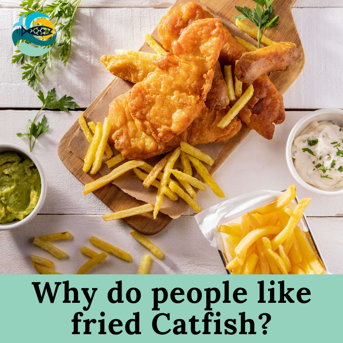 Why do people like fried catfish?