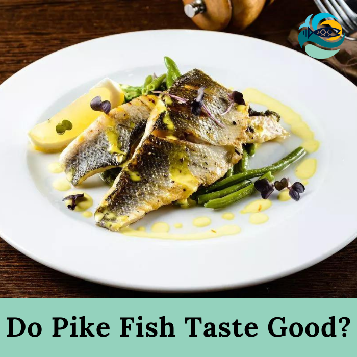 Do Pike Fish Taste Good?