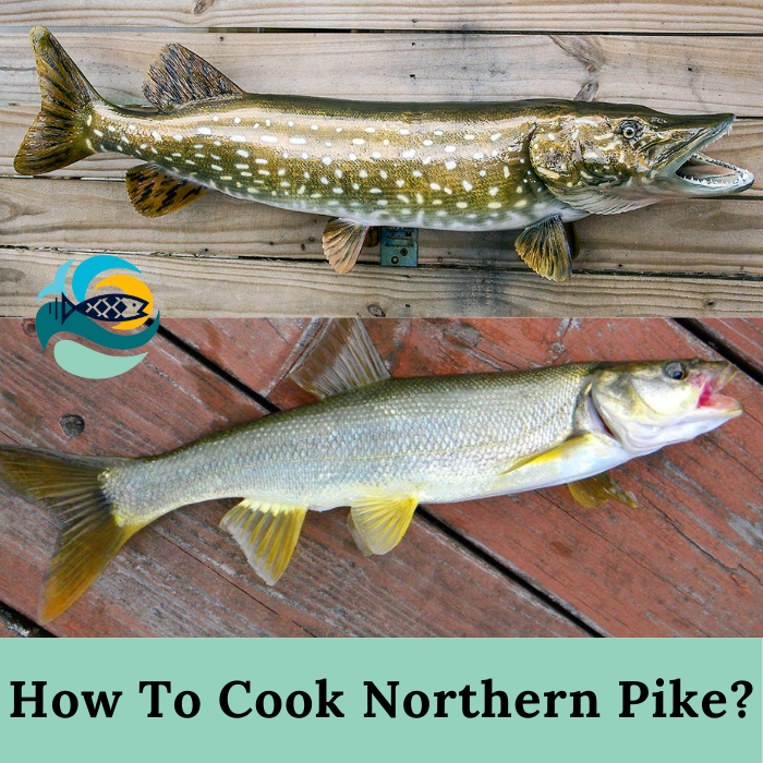 How To Cook Northern Pike
