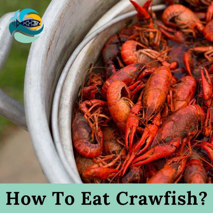 How To Eat Crawfish?