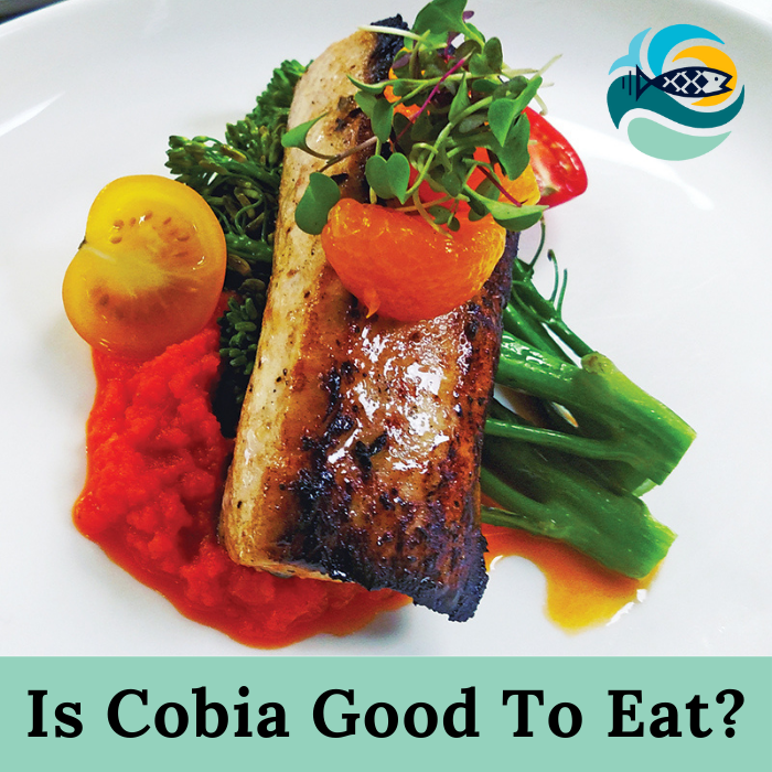 Is Cobia Good To Eat?