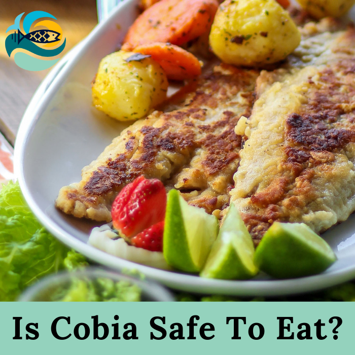 Is Cobia Safe To Eat?