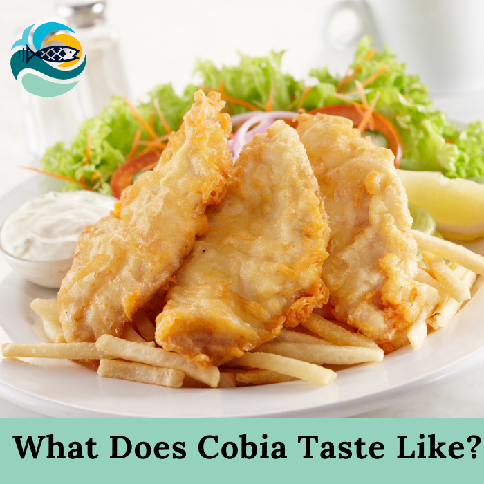 What Does What Does Cobia Taste Like?Cobia Taste Like?