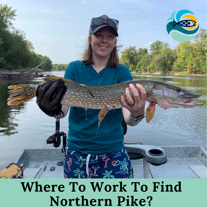Where To Work To Find Northern Pike?
