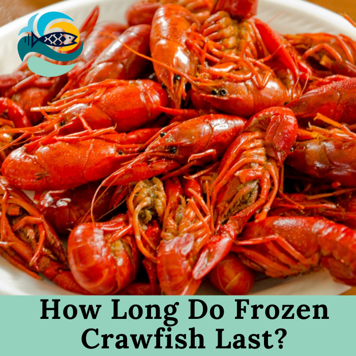 How Long Do Frozen Crawfish Last?