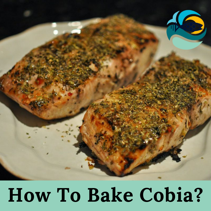 How To Bake Cobia?