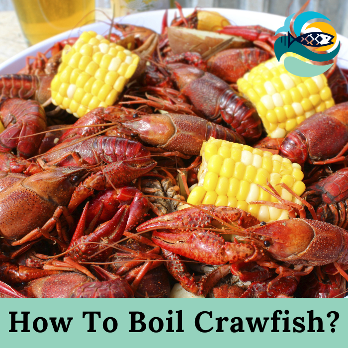 How To Boil Crawfish?