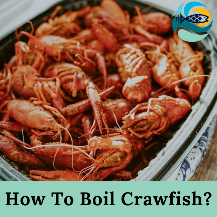 How To Boil Crawfish?