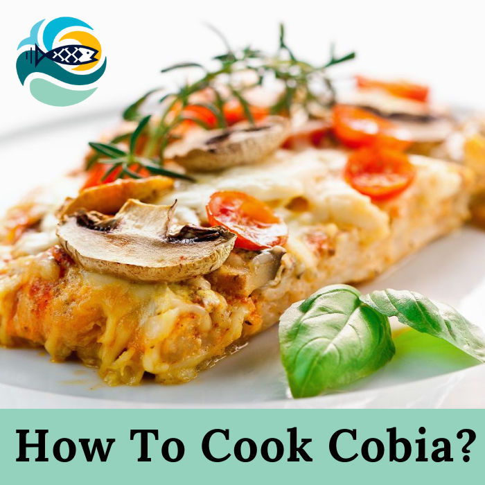 How To Cook Cobia?