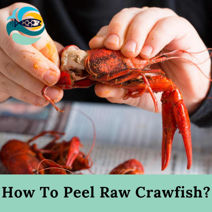 How To Peel Raw Crawfish?
