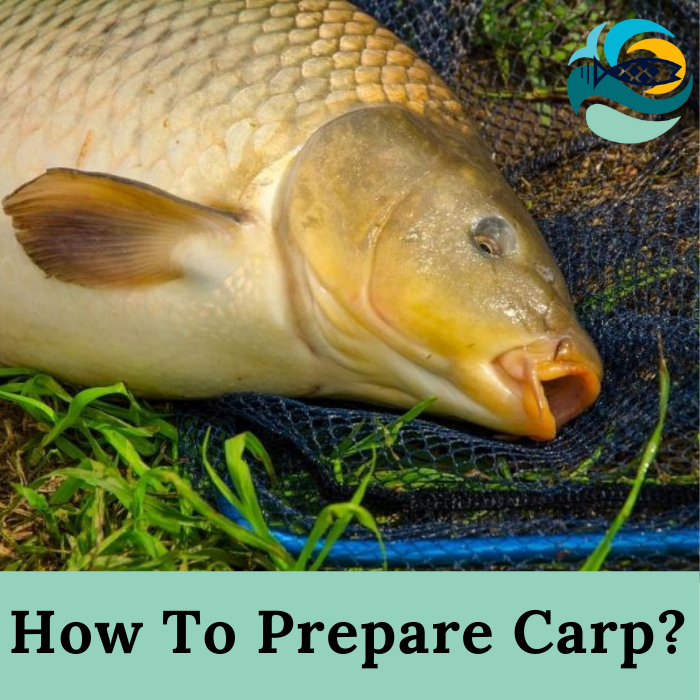 How To Prepare Carp?