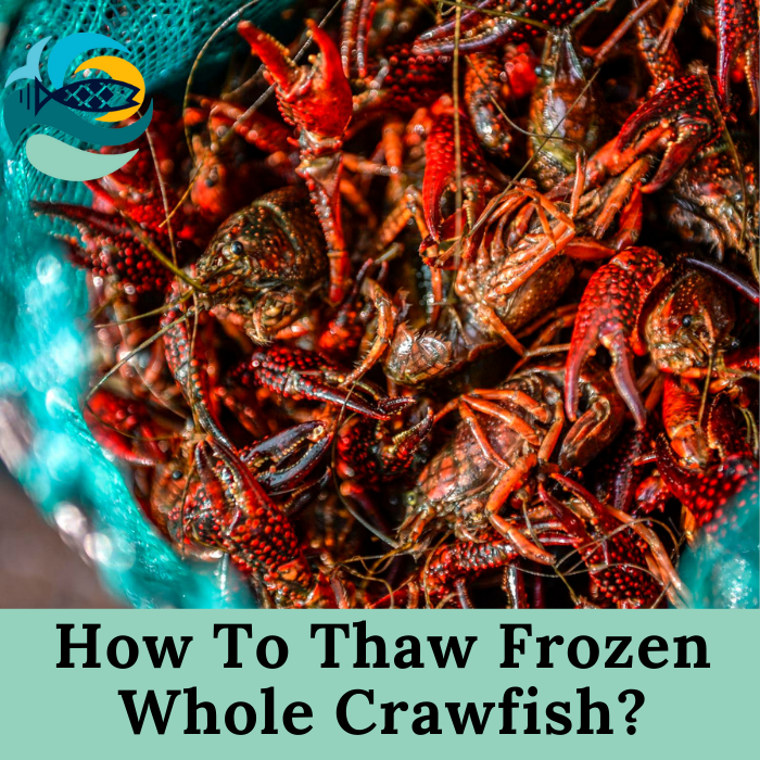 How To Thaw Frozen Whole Crawfish?