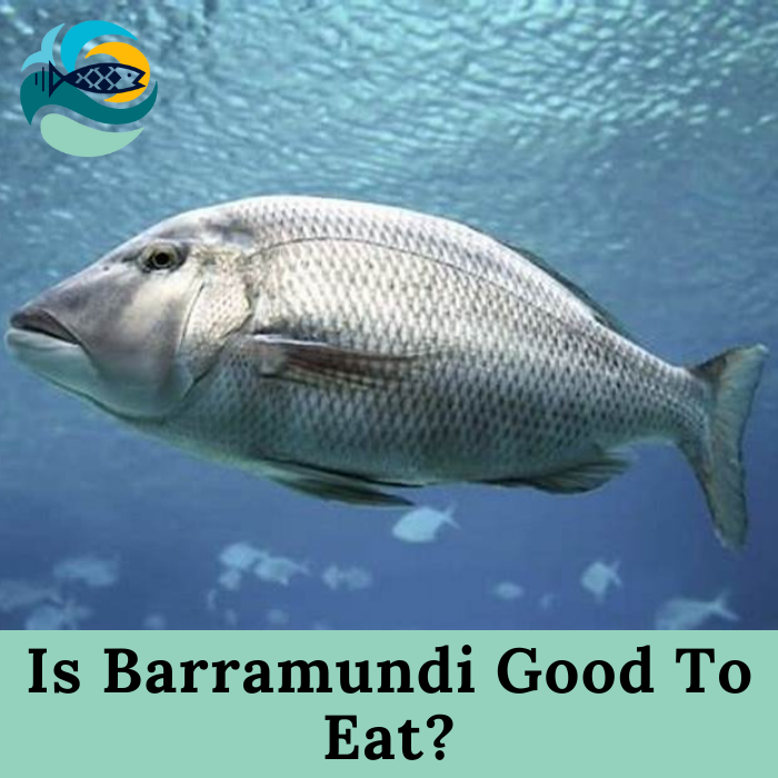 Is Barramundi Good To Eat?