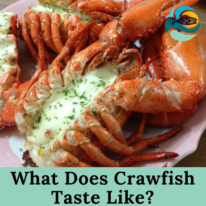 What Does Crawfish Taste Like?