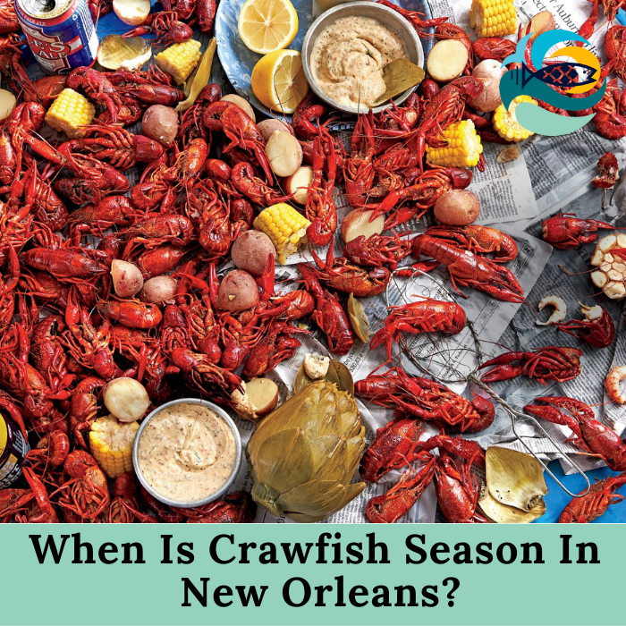 When Is CrawfishWhen Is Crawfish Season In New Orleans? Season In New Orleans?