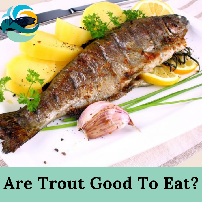 Are Trout Good To Eat?