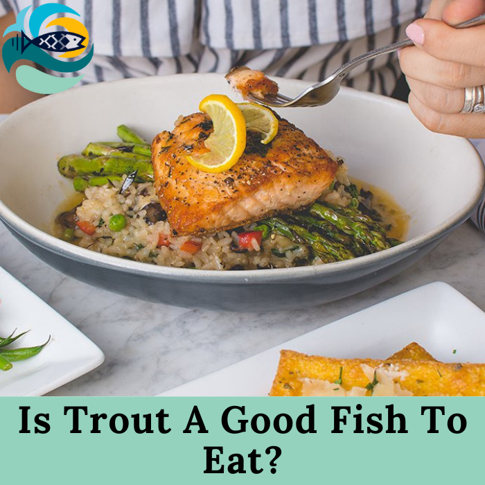 Is Trout A Good Fish To Eat?