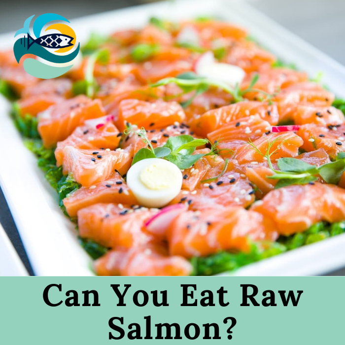 Can You Eat Raw Salmon?