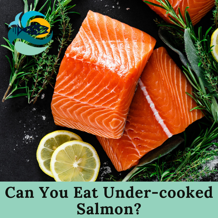 Can You Eat Under-cooked Salmon?