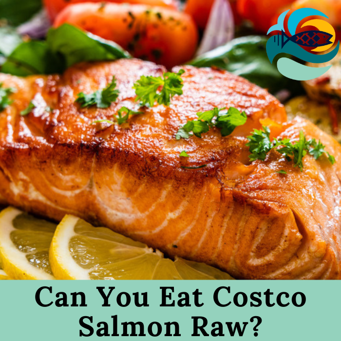 Can You Eat Costco Salmon Raw?