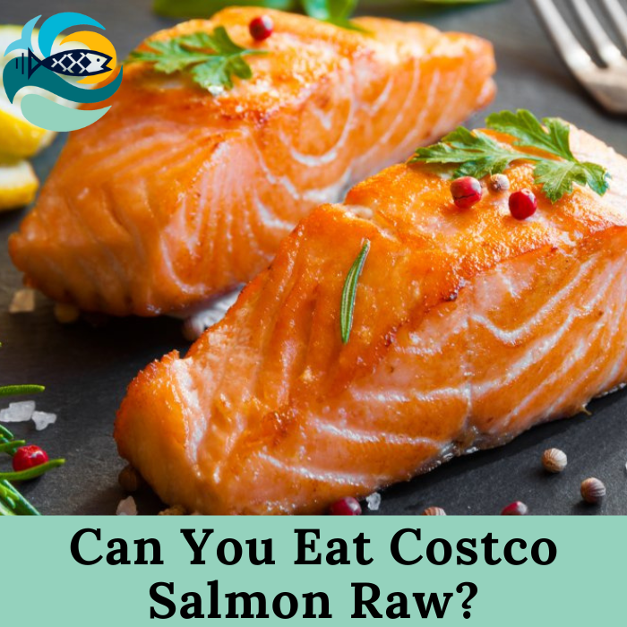 Can You Eat Costco Salmon Raw?