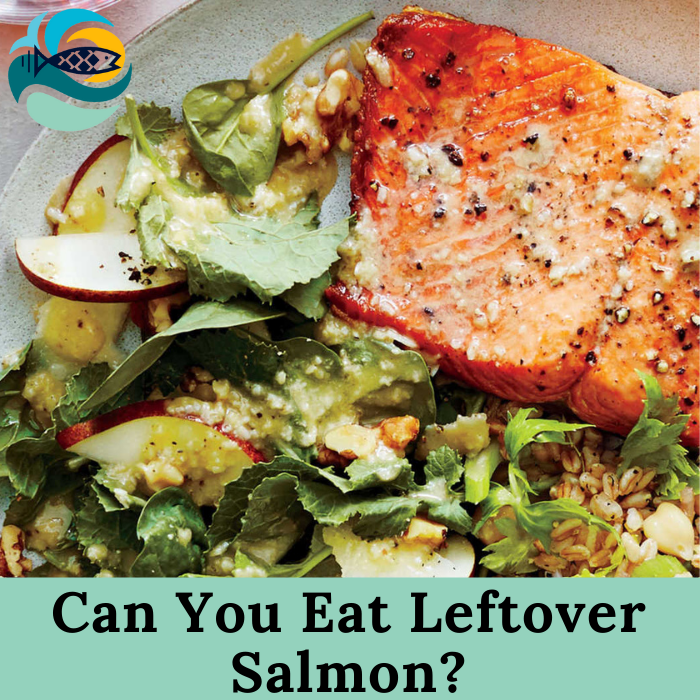 Can You Eat Leftover Salmon?