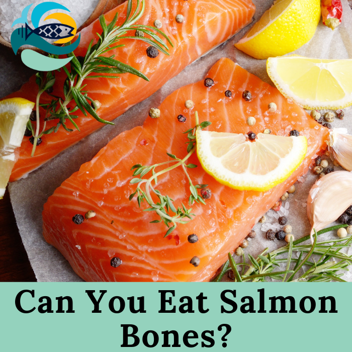 Can You Eat Salmon Bones?
