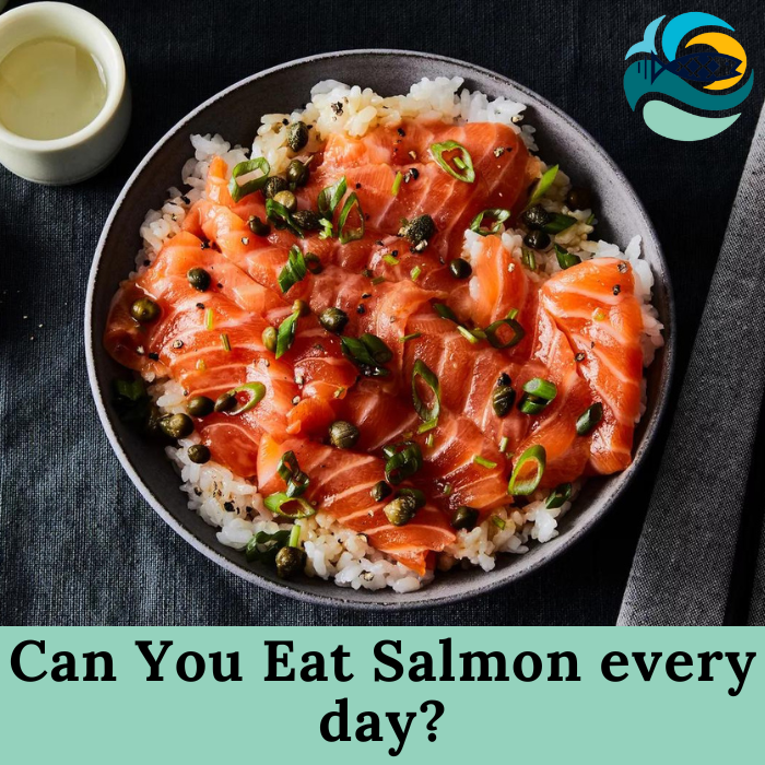 Can You Eat Salmon every day?