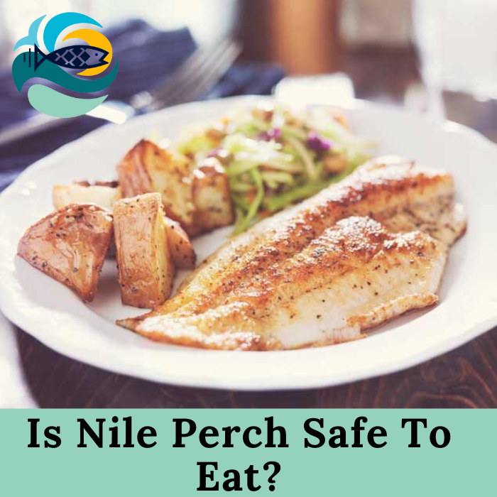 Is Nile Perch Safe To Eat?