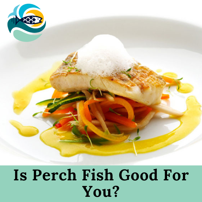 Is Perch Fish Good For You?