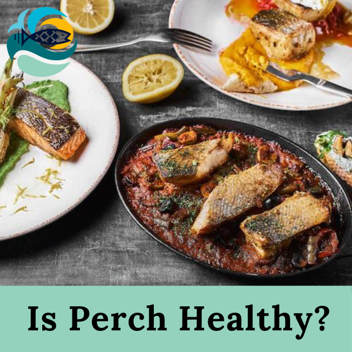 Is Perch Healthy?