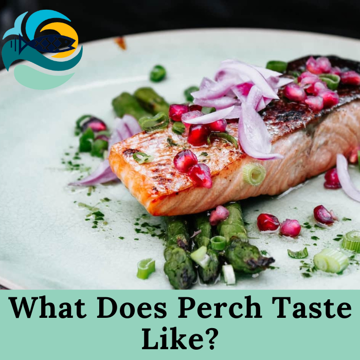 What Does Perch Taste Like?