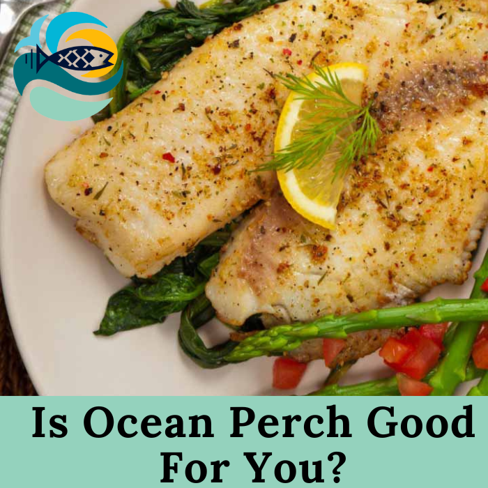 Is Ocean Perch Good For You?