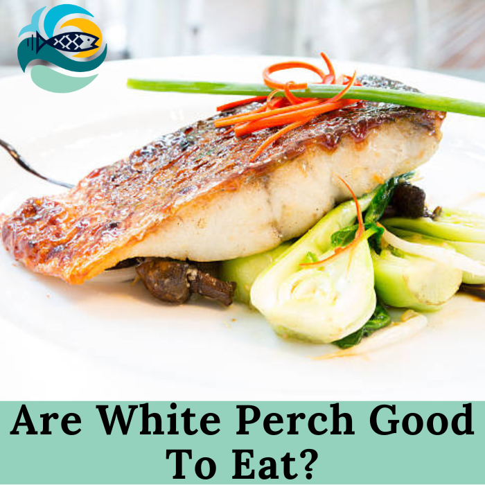 Are White Perch Good To Eat?